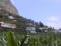 Resize of P21010157.JPG